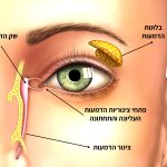 דרכי הדמעות